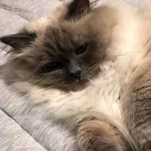 Meet your Posher, Debra